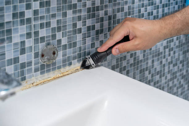Best Fast Mold Removal  in Youngsville, PA